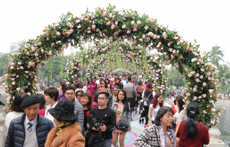 nhung hinh anh chua dep tai le hoi hoa hong