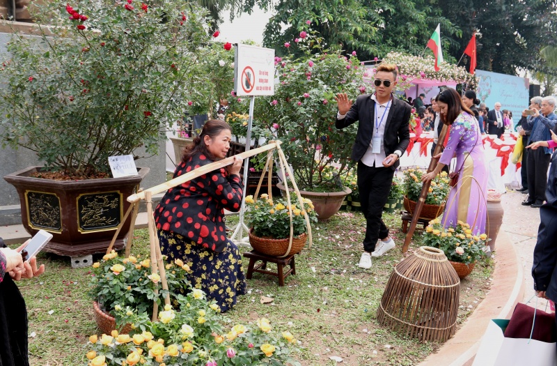 nhung hinh anh chua dep tai le hoi hoa hong
