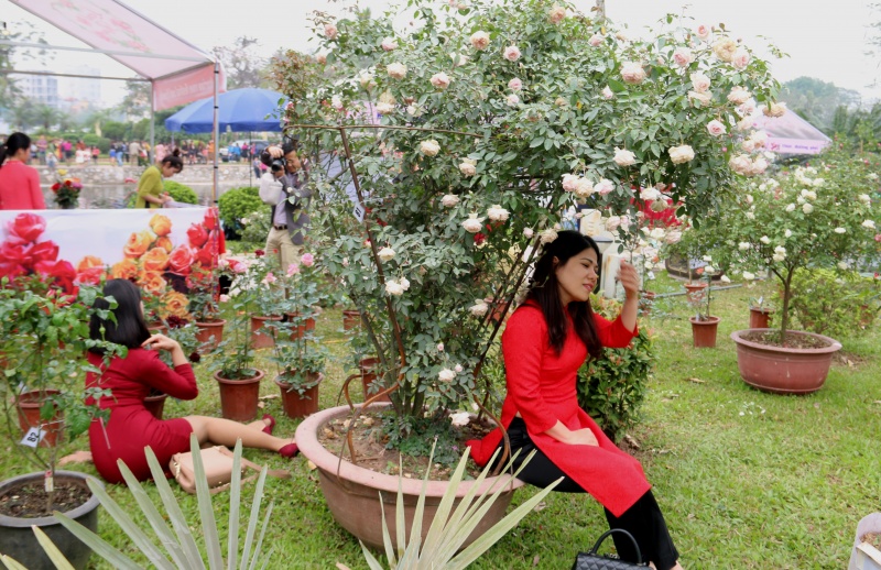 nhung hinh anh chua dep tai le hoi hoa hong