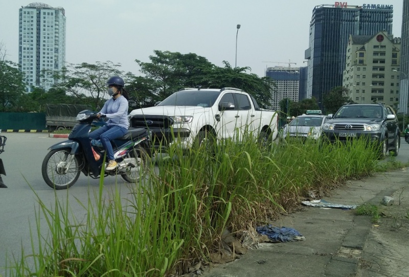 chum anh co moc um tum tren nhieu tuyen pho cua thu do