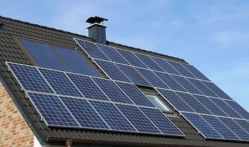 Tạo pin năng lượng mặt trời từ củ nghệ, dâu tây và lá mâm xôi