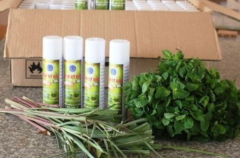 Sáng chế nước sát khuẩn từ cây dại