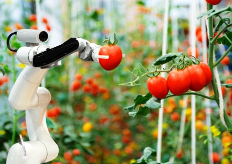 Cơ hội và chính sách trong nông nghiệp công nghệ cao