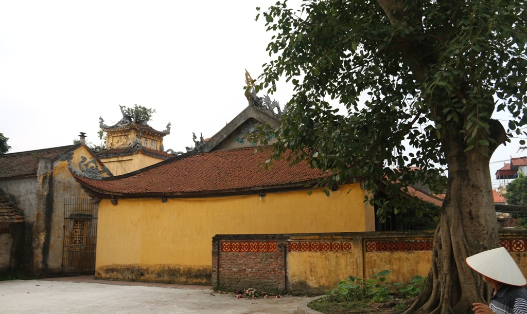 dinh khoai cau