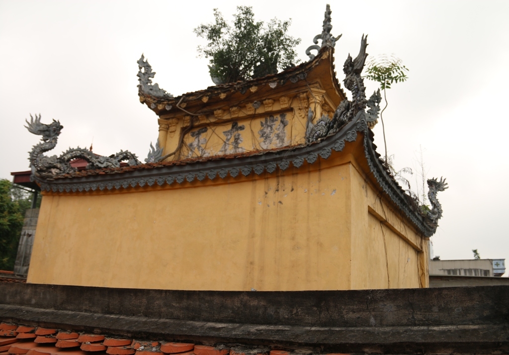 dinh khoai cau