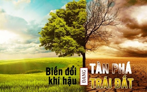 Phát động cuộc thi “Thanh niên sáng tạo vì khí hậu”