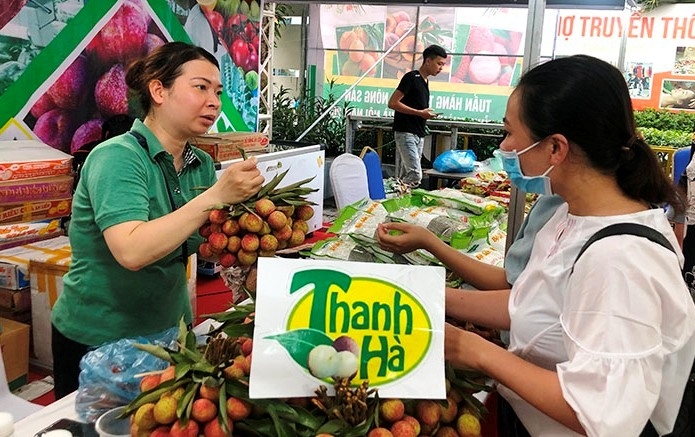 Đưa đặc sản trái cây, nông sản các tỉnh đến với người dân Thủ đô