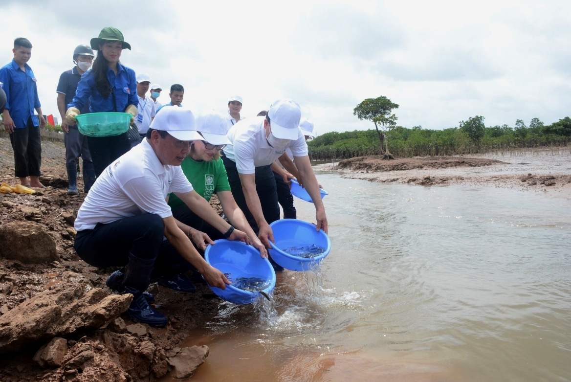 “Chỉ một Trái đất