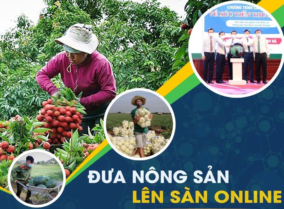 Thúc đẩy đưa hộ sản xuất nông nghiệp lên sàn thương mại điện tử