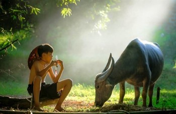 Khám phá vẻ đẹp 'những nẻo đường đất nước' bên hồ Gươm