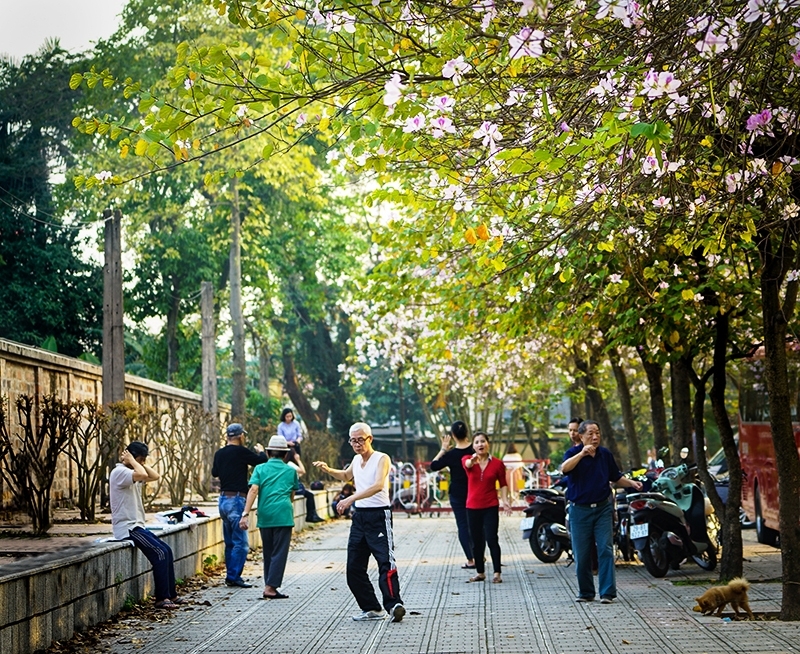 vi mot ha noi dang song qua anh
