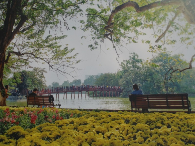 vi mot ha noi dang song qua anh