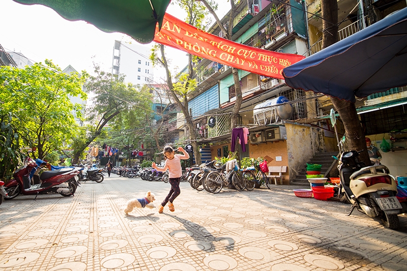 vi mot ha noi dang song qua anh