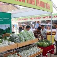 dua san pham thuy san den voi nguoi tieu dung thu do