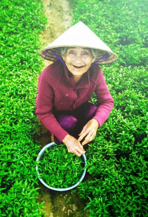 kham pha ve dep khong tuoi cua phu nu viet nam