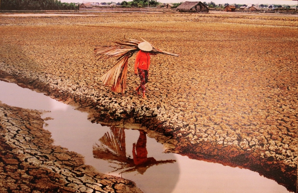 ton vinh dong gop cua phu nu nong thon qua anh