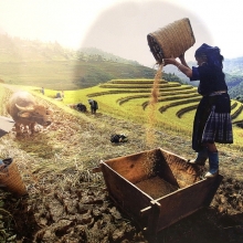 nhung khoanh khac lich su va doi thuong qua trien lam anh dau an