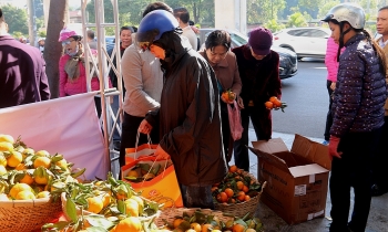 Cam Cao Phong, cá Sông Đà đến với người tiêu dùng Thủ đô