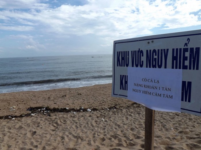 cam tam o bien tuy hoa vi ca dai 4m xuat hien