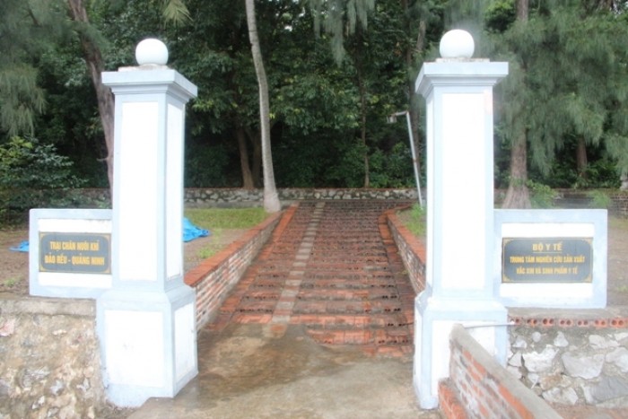 ghe tham dao khi dac biet o viet nam