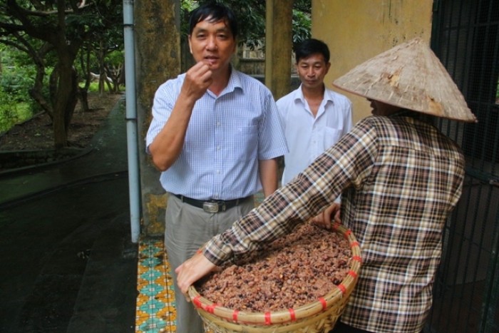 ghe tham dao khi dac biet o viet nam