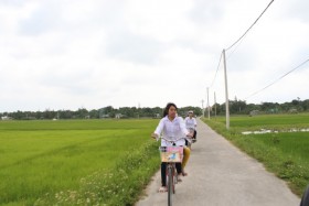 Điện trên đảo Cô Tô