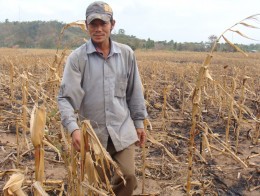 6 tháng đầu năm: Thủy sản giảm, nông nghiệp lao đao