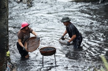 Bộ Công Thương ban hành thông tư quy định quản lý than trôi