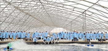 Thay đổi tình trạng làm trang trại công nghệ cao