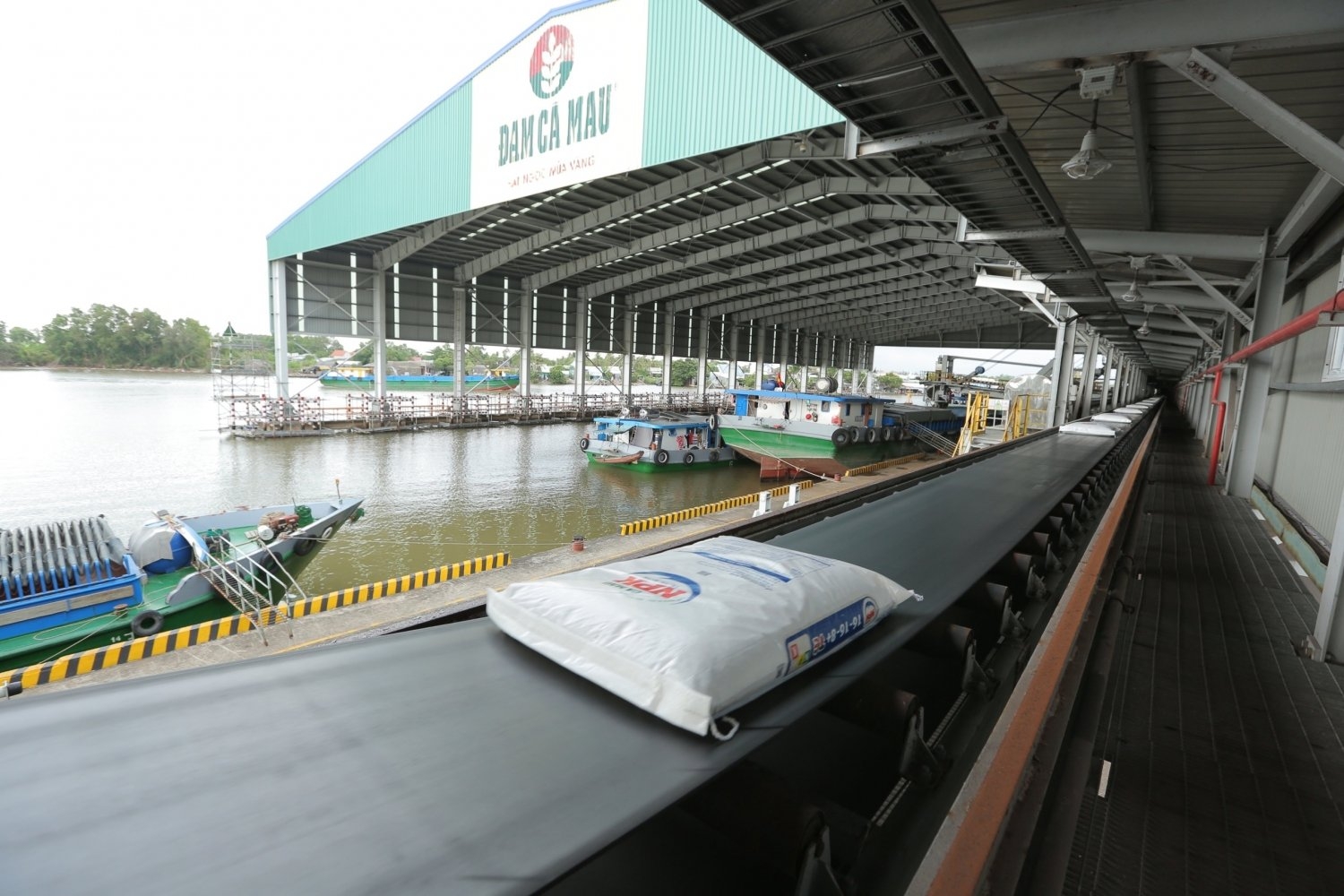 Phân bón Cà Mau đạt Top 500 doanh nghiệp lớn nhất Việt Nam năm 2021