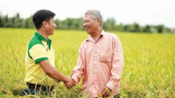 “Hạt ngọc mùa vàng, gởi ngàn tri ân”