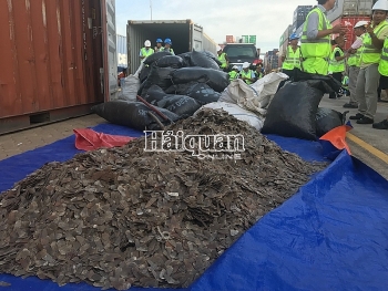 Thu giữ gần 5,3 tấn vảy tê tê "gắn mác" hạt điều nhập khẩu