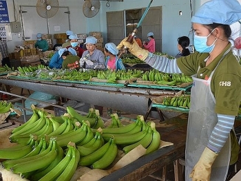Tin tức kinh tế ngày 29/5: CPI tháng 5 tăng 0,49% vì xăng dầu, điện, gas...