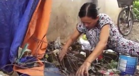 Mưu sinh nhờ... gián đất