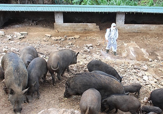 tin tuc kinh te ngay 86 lan dau ban ve may bay tra gop tai viet nam