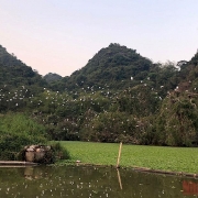 Tìm kiếm bộ nhận diện thương hiệu 