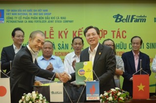 Đạm Cà Mau mở rộng hợp tác với Nhật Bản