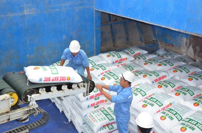 nha may dam ca mau van hanh tro lai dat 101 cong suat