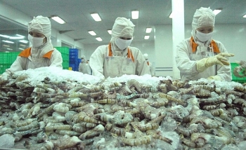 Tin kinh tế ngày 15/8: Thủy sản Việt Nam đóng góp 3,43% GDP toàn quốc