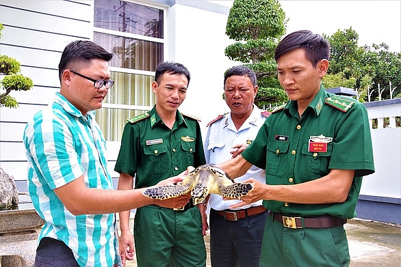 mot nguoi dan bo tien tui mua doi moi quy hiem de tha ve bien