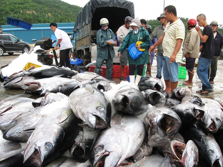Tin tức kinh tế ngày 29/9: Mỗi ngày thu gần 300 tỉ đồng thuế thu nhập cá nhân tin tuc kinh te ngay 299 moi ngay thu gan 300 ti dong thue thu nhap ca nhan