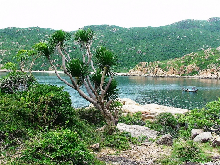 UNESCO công nhận thêm 2 khu dự trữ sinh quyển thế giới tại Việt Nam
