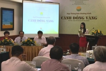 PVCFC liên kết tổ chức Chương trình Cánh đồng vàng
