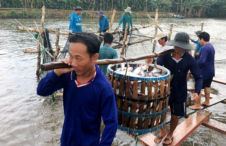 tin tuc kinh te ngay 2010 hang ngan truong hop vi pham an toan thuc pham o tp hcm