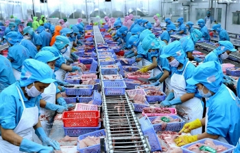 Tin tức kinh tế ngày 4/11: Nỗ lực tháo gỡ “thẻ vàng” cho thủy sản
