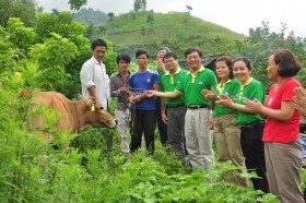 PVFCCo tài trợ 2,1 tỉ đồng cho chương trình Ngân hàng bò
