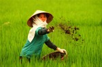 dung de dai ly thue phai lam chui ke toan