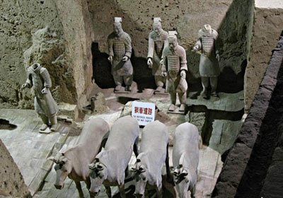 huyen cao dung muu lui quan tan