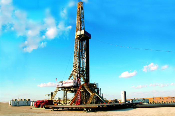 ca i gia cho mo i gio t da u