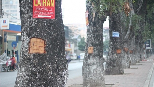 tim ra nguoi deo vo xa cu tren duong lang